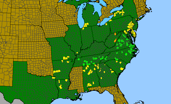 The range of Dryopteris celsa